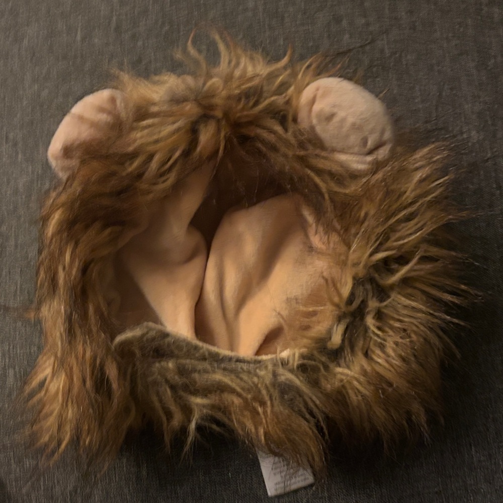 Adorable Tan Lion Hat for Kids